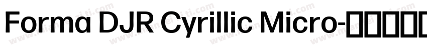 Forma DJR Cyrillic Micro字体转换